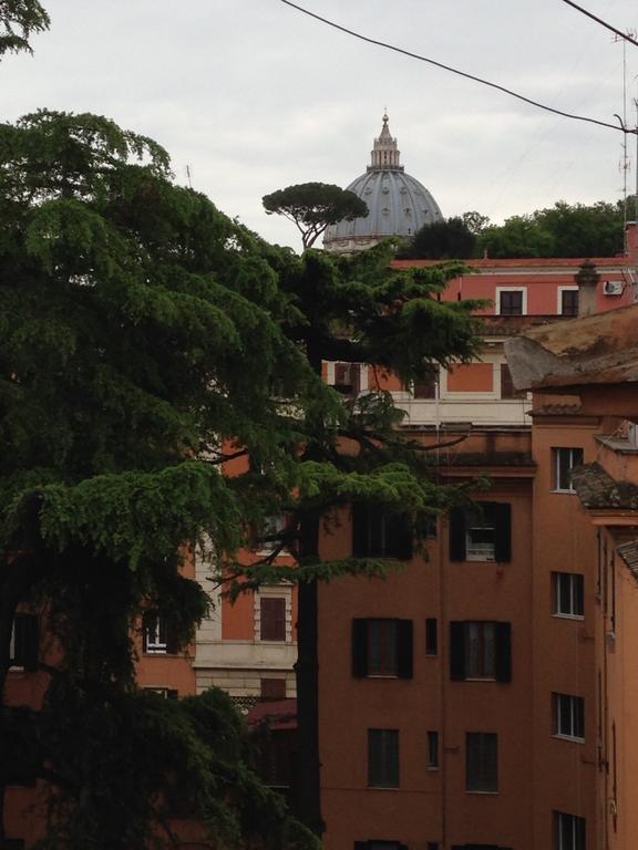 La Cupola Tra I Cedri *
